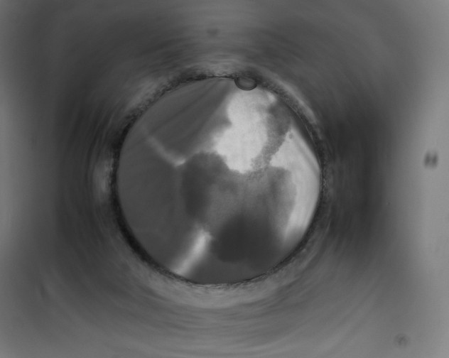 X0000100310018200807031157