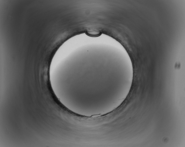 X0000100310019200807031157