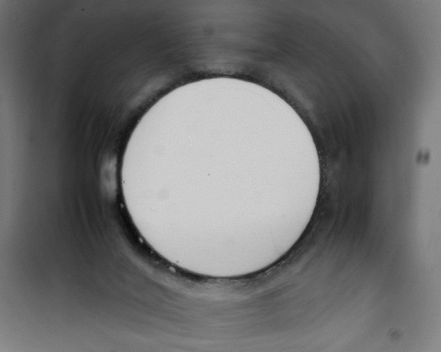 X0000100310020200807031157