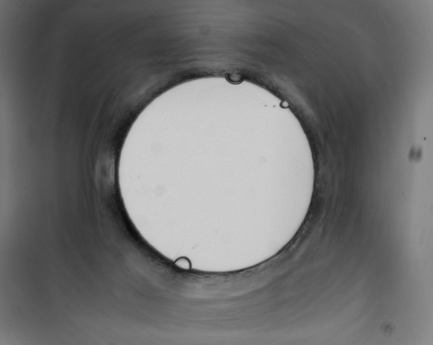 X0000100310021200807031157