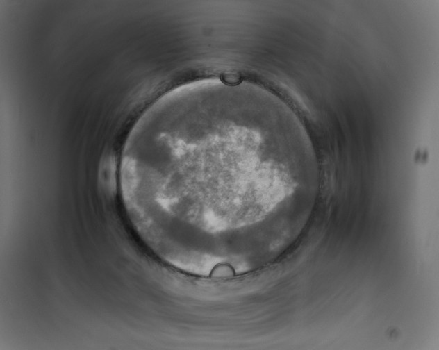 X0000100310022200807031157