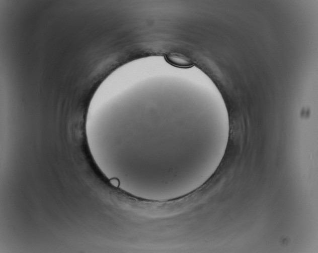 X0000100310023200807031157