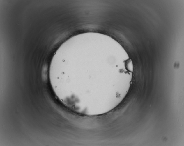 X0000100310024200807031157