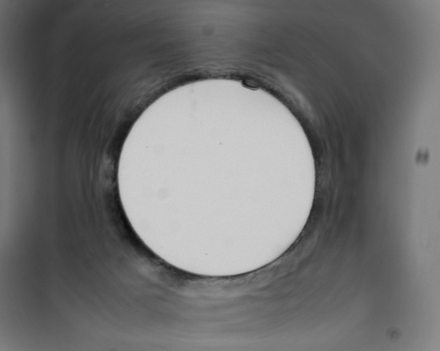 X0000100310025200807031157