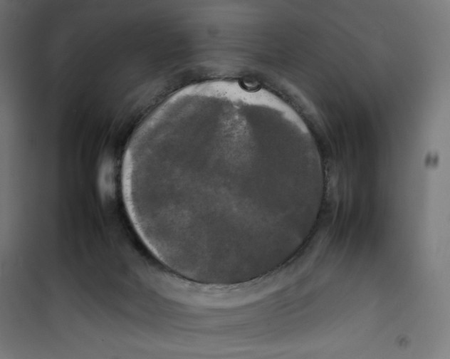 X0000100310026200807031157