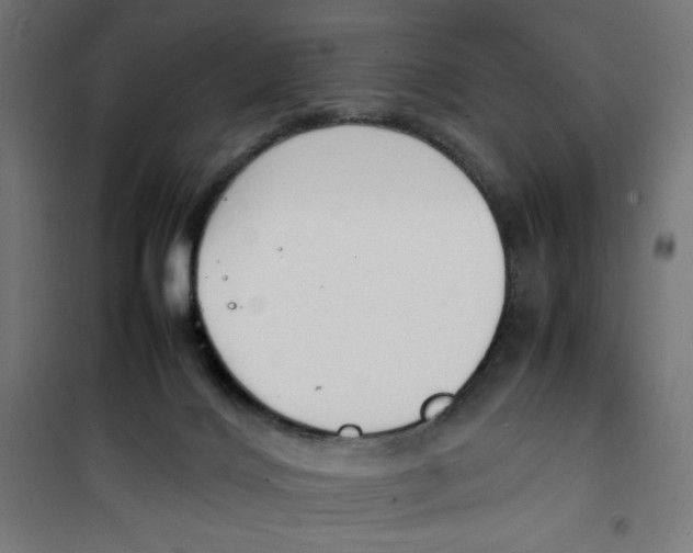 X0000100310028200807031157