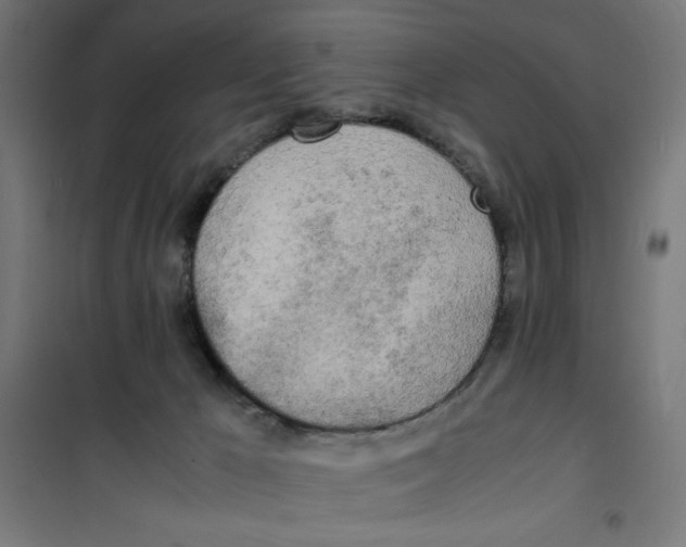 X0000100310029200807031157