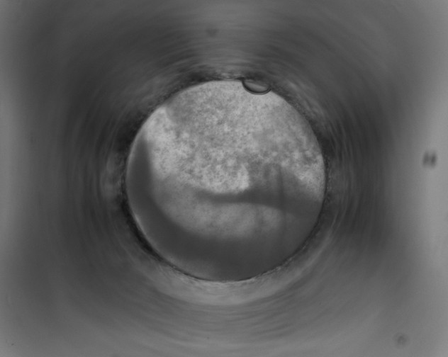 X0000100310030200807031157