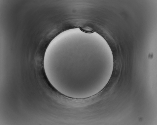 X0000100310031200807031157