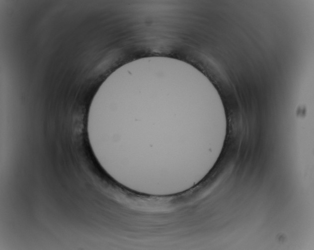 X0000100310032200807031157