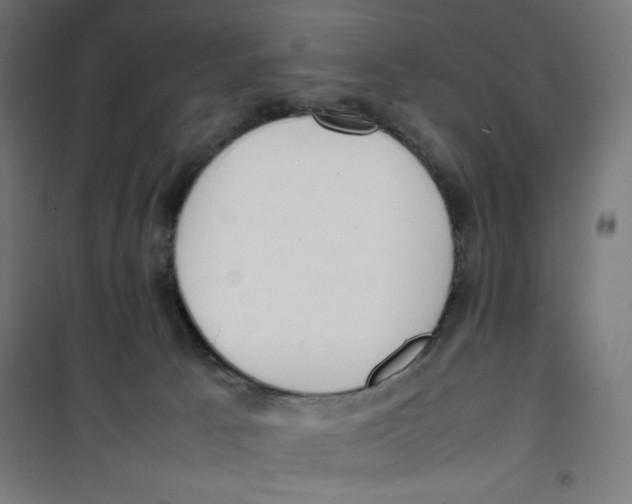 X0000100310033200807031157