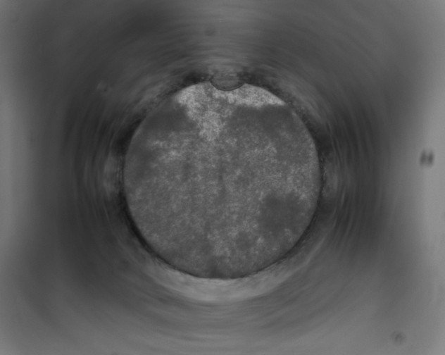 X0000100310034200807031157