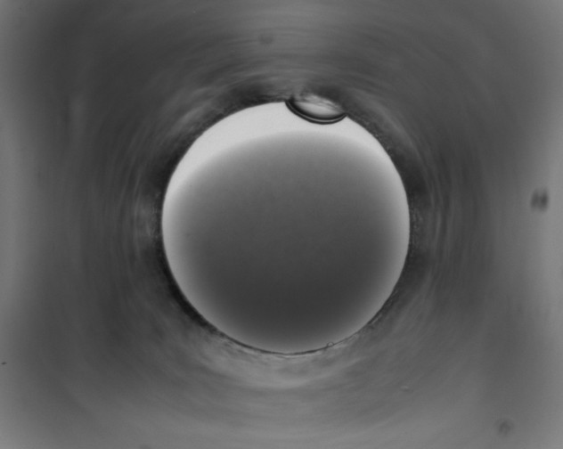 X0000100310035200807031157