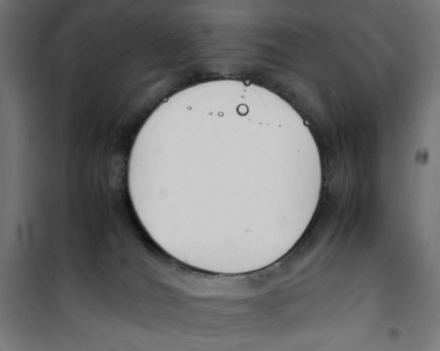 X0000100310036200807031157