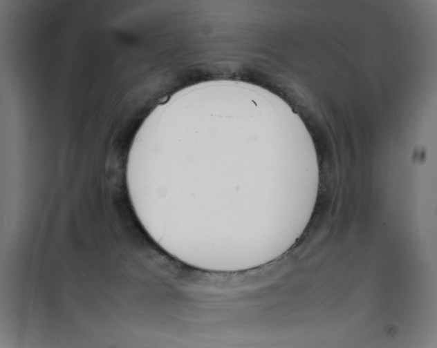 X0000100310037200807031157