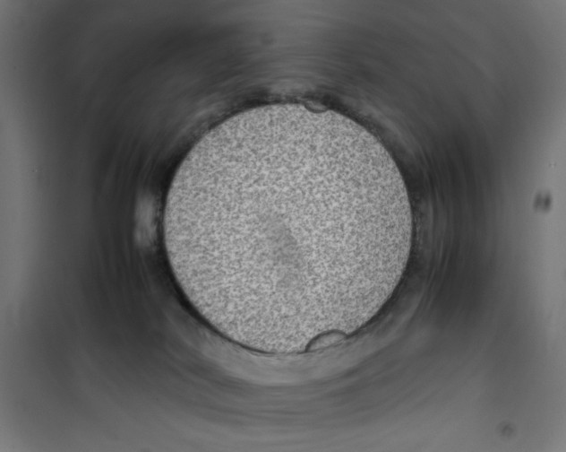 X0000100310038200807031157