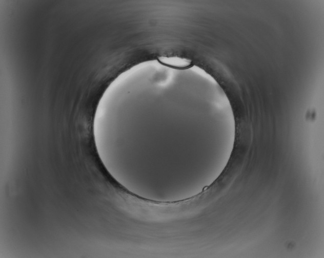 X0000100310039200807031157