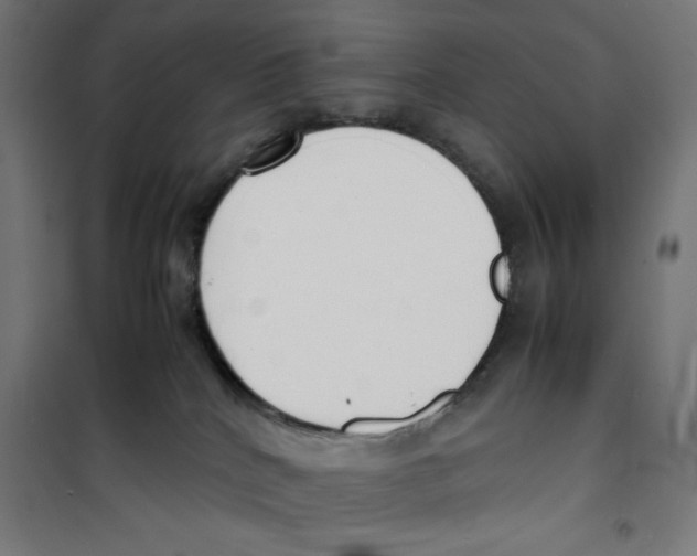 X0000100310040200807031157