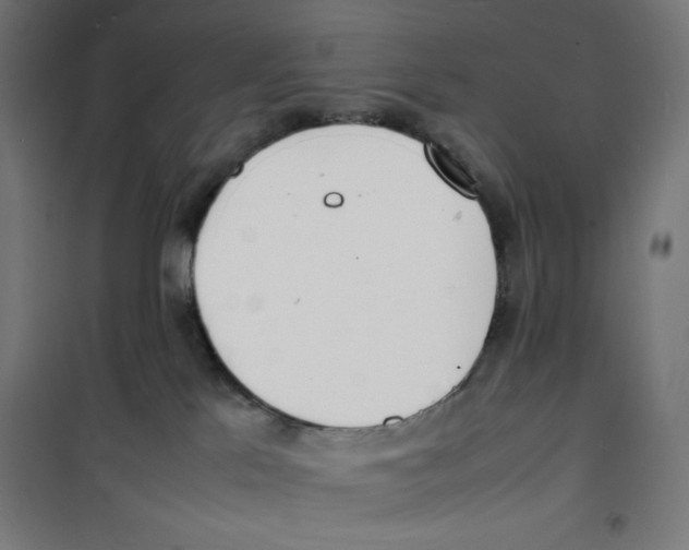 X0000100310041200807031157