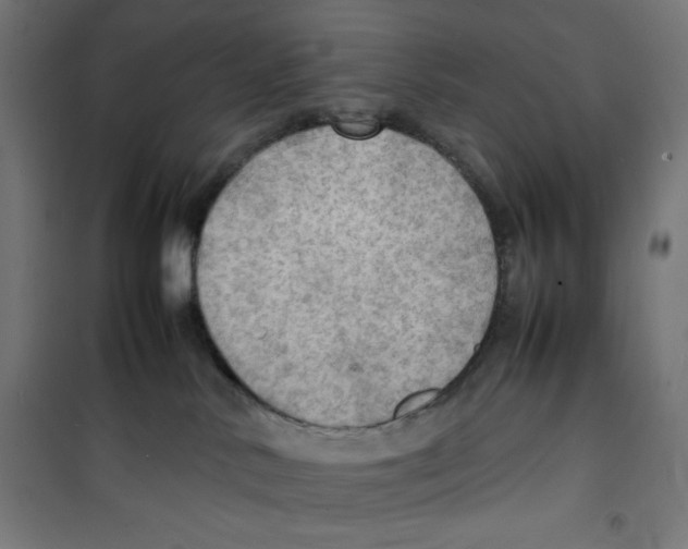 X0000100310042200807031157