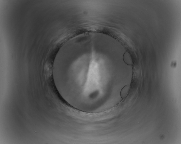 X0000100310043200807031157