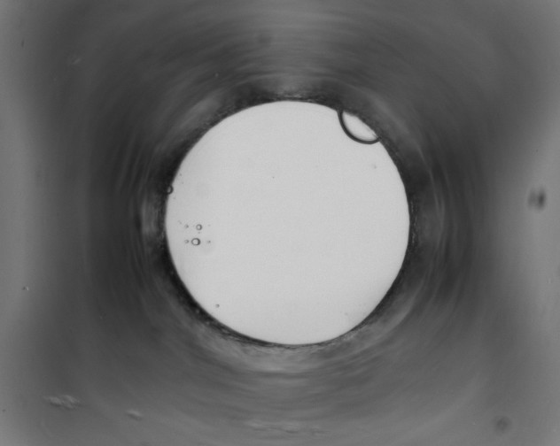 X0000100310044200807031157