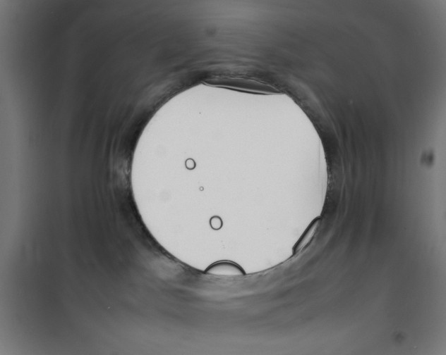 X0000100310045200807031157
