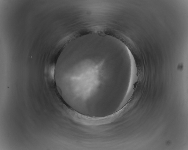 X0000100310047200807031157