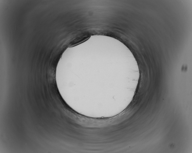 X0000100310048200807031157