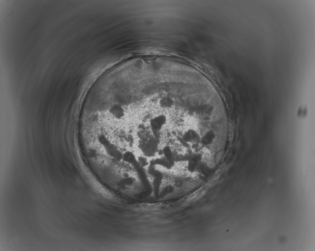 X0000100310049200807031156