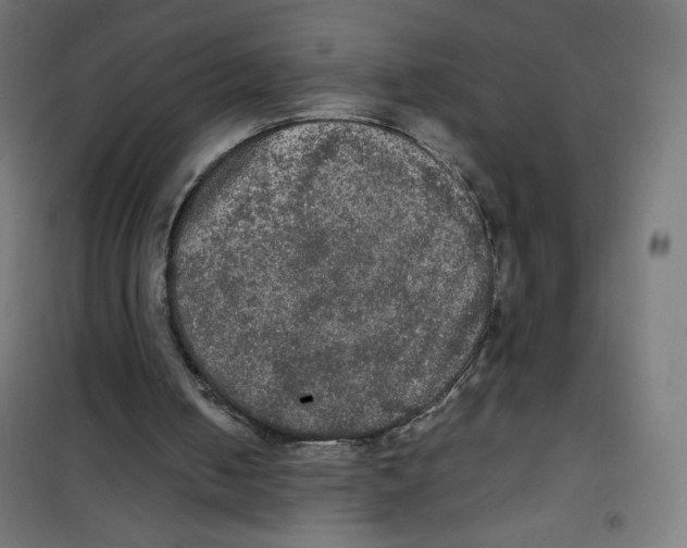 X0000100310050200807031156