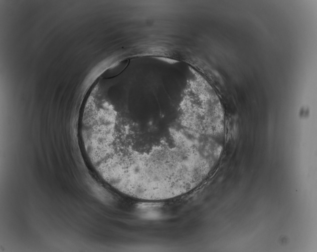 X0000100310051200807031156