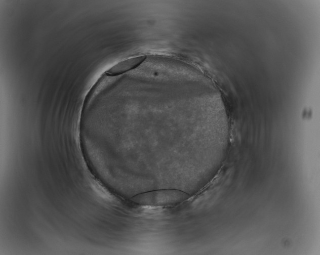 X0000100310052200807031156