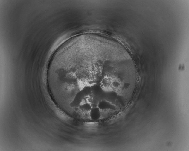 X0000100310053200807031156