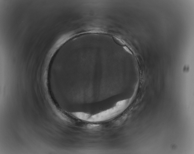 X0000100310055200807031156