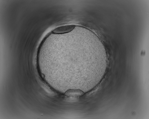 X0000100310056200807031156