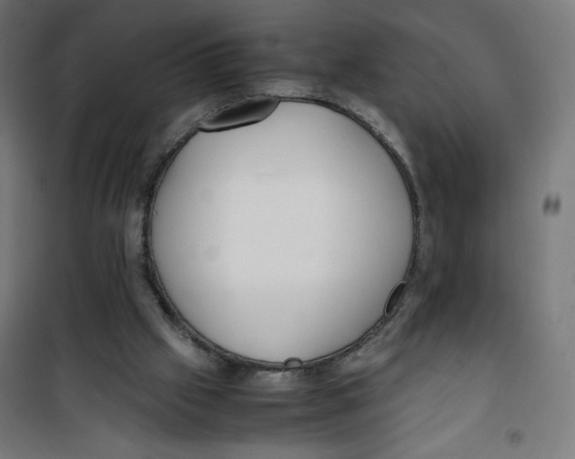 X0000100310057200807031156