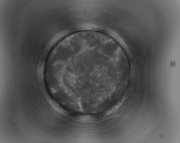 X0000100310058200807031156