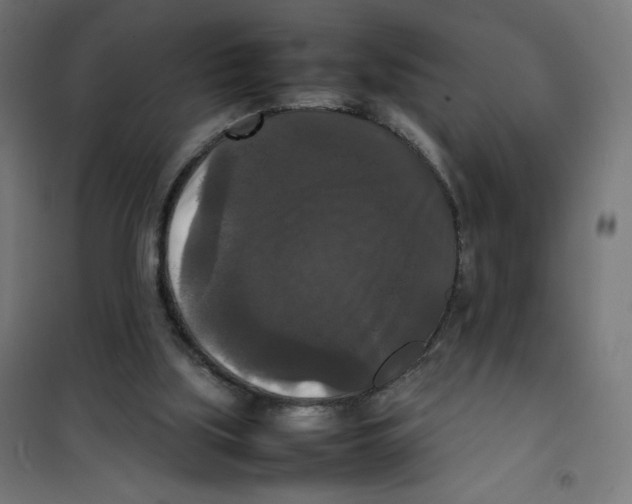 X0000100310059200807031156