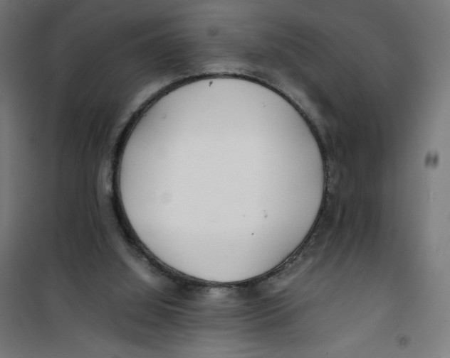 X0000100310060200807031156