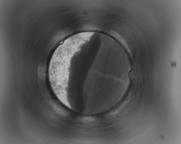 X0000100310063200807031156