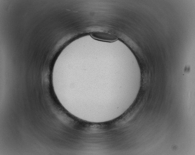 X0000100310064200807031156