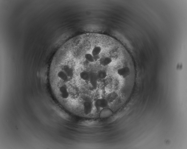 X0000100310065200807031156