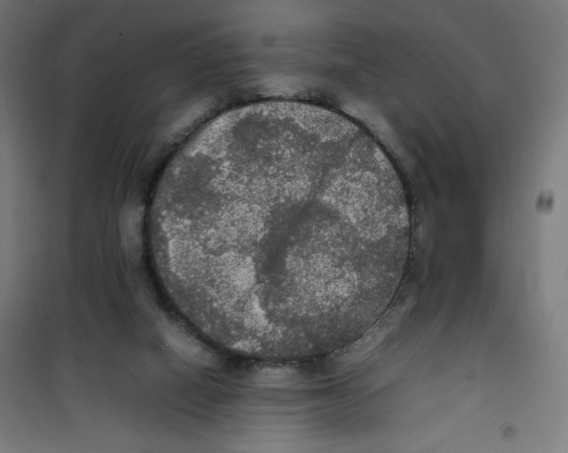 X0000100310066200807031156