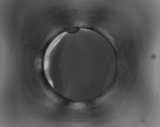 X0000100310067200807031156