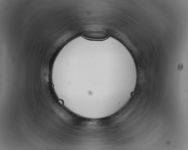 X0000100310068200807031156