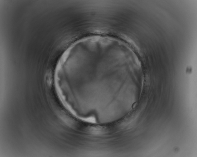 X0000100310069200807031156