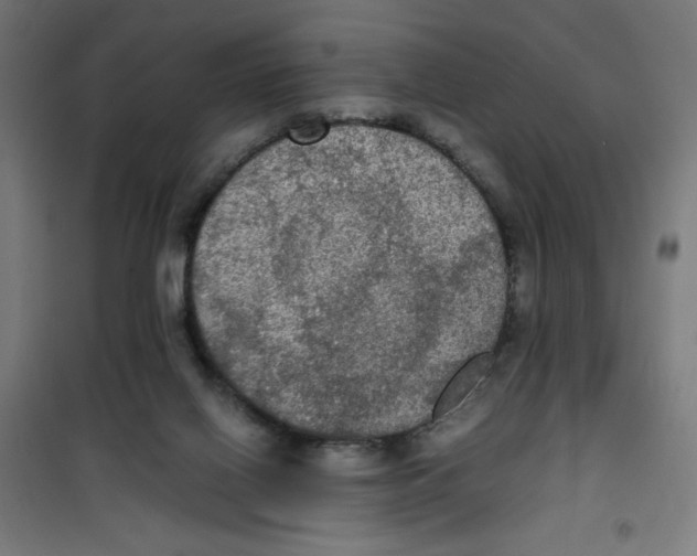 X0000100310070200807031156