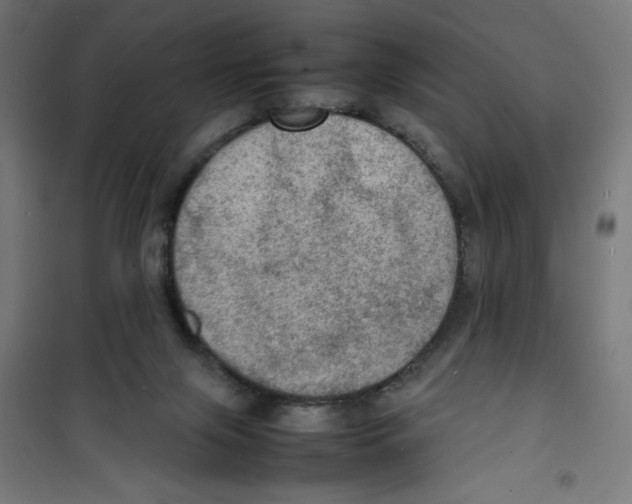 X0000100310071200807031156