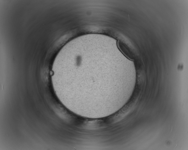 X0000100310072200807031156